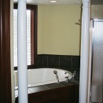 Durbin House Master Bathroom